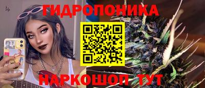 Альфа ПВП Обь