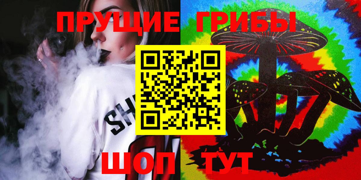 Псков  Галлюциногенные грибы Cubensis  хочу   Вход с VPN 