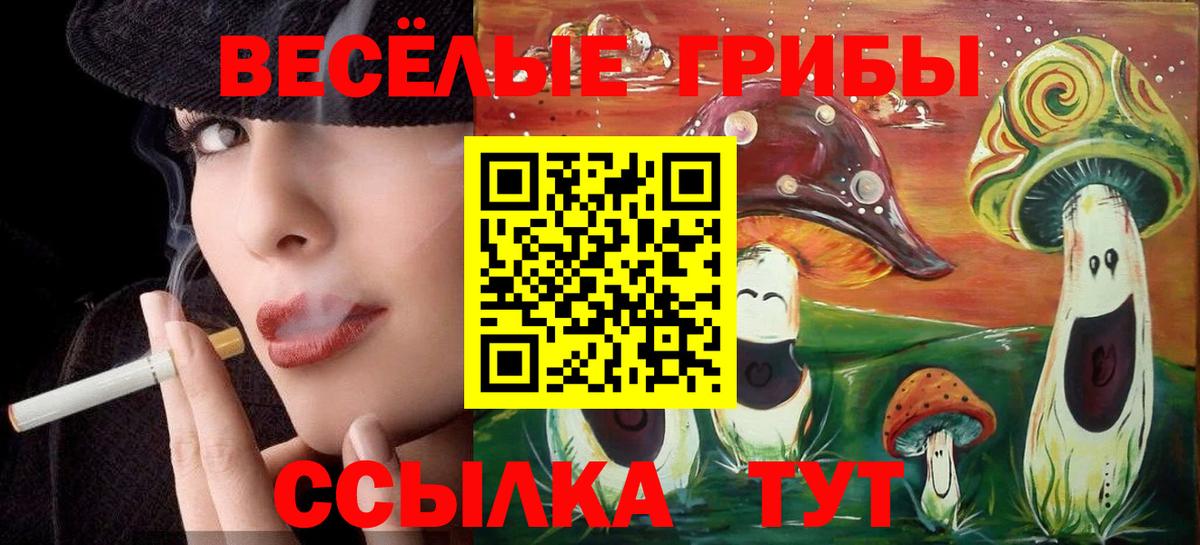 Галлюциногенные грибы мицелий Псков